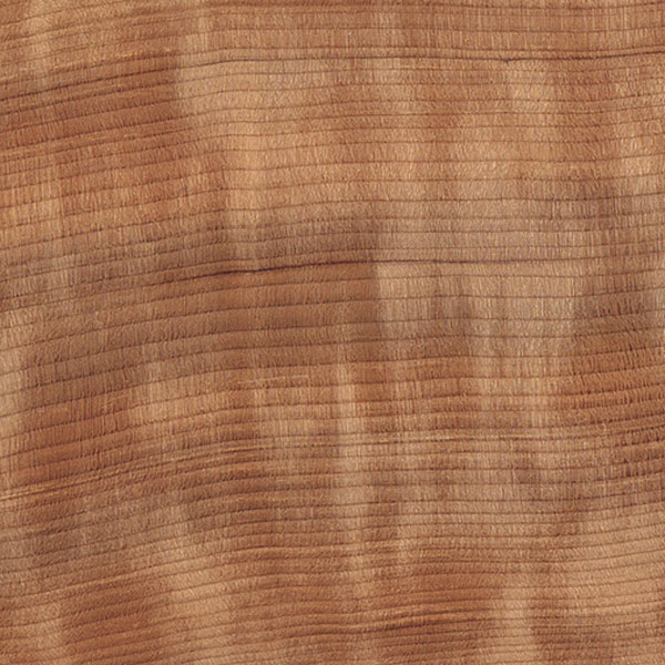 Red Wood (Sequoia)